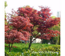 產(chǎn)品庫(kù)